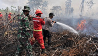 Kemarau Berkepanjangan, Bupati Tanjung Jabung Timur Larang Camat Tinggalkan Wilayah